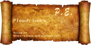 Plesch Endre névjegykártya